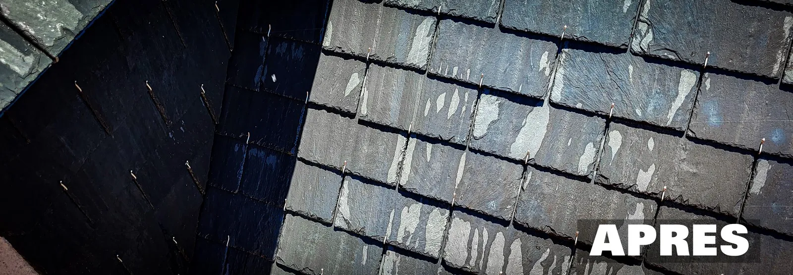 apres le démoussage